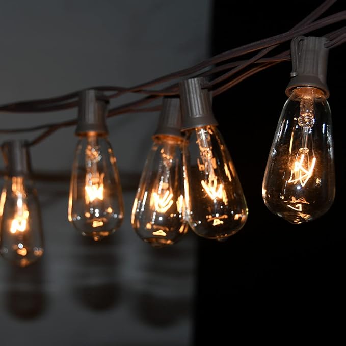 10Ft Outdoor String Lights Waterproof, Hanging Patio Lights with 11 Edison Bulbs (1 Spare), ST40 Vintage Edison Bulbs String Lights for Indoor Garden Backyard Party Wedding Balcony Decor- Black
