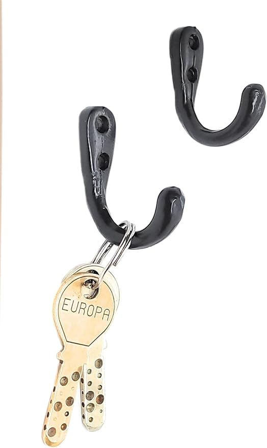 FAPBADRI Multipurpose Hooks, Used to Hang Clothes, Bags, Coats, Curtain Hold Backs, Keys, Colour - Black, Material - Aluminium, Screws and Wallplugs Included, Pack of 10 Pieces