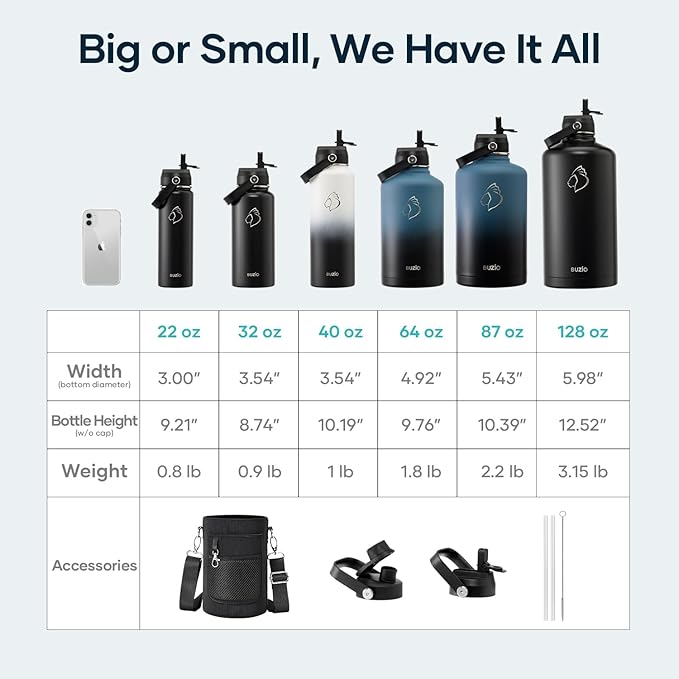 Insulated Water Bottle with Straw Lid, Modern Double Vacuum Stainless Steel Water Flask, Simple Half Gallon Water Jug, Metal Thermo Canteen Mug,87oz Sports Bottle