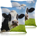 Swono Cow Bed Pillow Covers, Funny Farm Cattle Cow On Grass Meadow Decorative Throw Pillow Cover Cushion Case for Sofa Bed Living Room Farmhouse Decorations, 18"X18" 2 Pieces Pillowcases