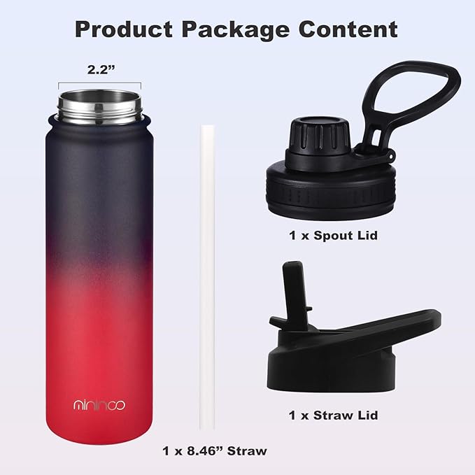 mininoo 24 oz Insulated Water Bottle with Straw Lid, Stainless Steel Double Wall Vacuum, Leak Proof, BPA Free, Keep Cold for 24H & Hot for 12H-2 pack(Ice Coke)