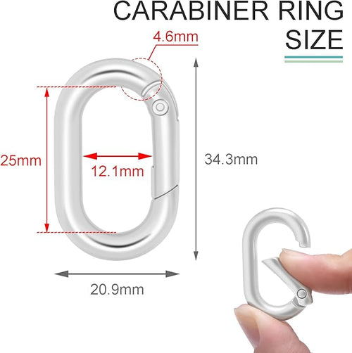 10Pack 1 Inch Small Oval Carabiner, Metal Spring Tiny Carabiner Clips for Paracord Keychain Lanyard, Car Key Rings, Dog Tag Clip, Pets Collar Buckles, Purse Keychain Replacement (Silver)
