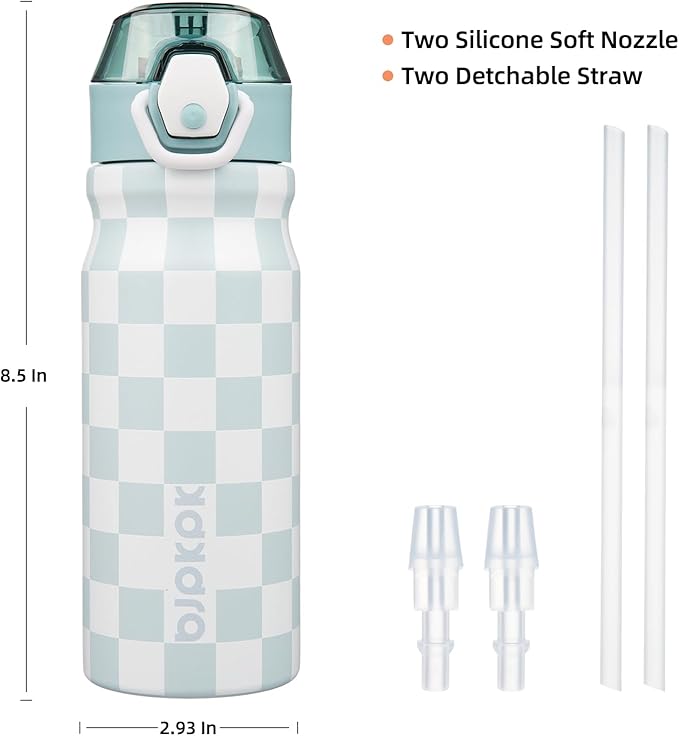 BJPKPK Stainless Steel Insulated Water Bottle with Straw Lid 18oz Reusable Metal Thermal Flask Bottles Keep Cold and Hot,Plaid