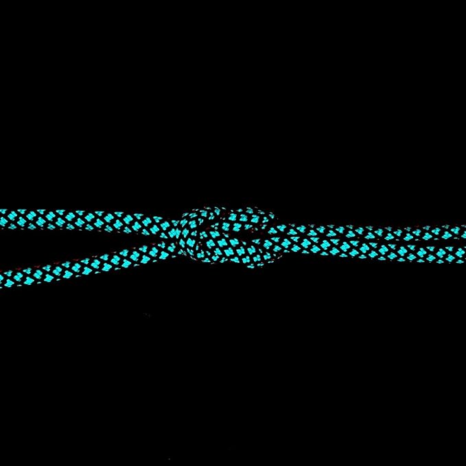 7 Strand Core 550lb Paracord Parachute Cord Lanyard Mil Spec Type III - 4mm 165 Feet Spool of Paracord String Braided Accessories