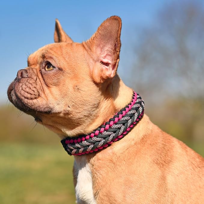 HERCULES 750lb Paracord 4mm 11 Strands Tactical Parachute Cord, 50' 100' 250' 1000' Utility Rope for Camping, Survival, Outdoor Gear (Royal Blue, 1000FT)