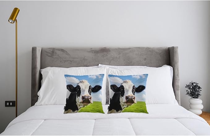 Swono Cow Bed Pillow Covers, Funny Farm Cattle Cow On Grass Meadow Decorative Throw Pillow Cover Cushion Case for Sofa Bed Living Room Farmhouse Decorations, 18"X18" 2 Pieces Pillowcases