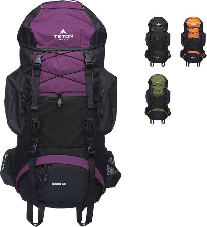 Teton 55L Scout Internal Frame Backpack for Hiking, Camping, Backpacking, Travel, Rain Cover Included, Huckleberry