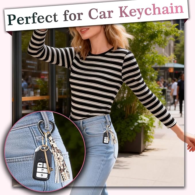 4pcs Heart Carabiner Keychain Clip, Metal Spring Heart Rings Hook Key Ring Carabiner Clips for Purse Bag Charms Backpack Strap Dog Tags Hang Water Bottle Paracord Keychain Lanyard(Silver Black)