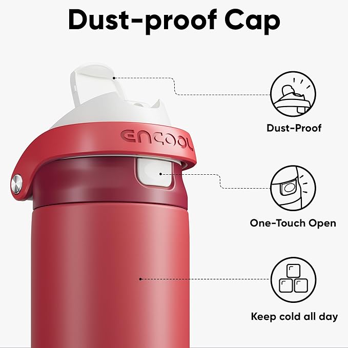 ENCOOL Leakproof Insulated Water Bottle with Straw Dual-Sip Water Bottle Bag-Safe Design for Work, Commute & Gym – Keeps Drinks Cold All Day, 32 oz, Ember Clay