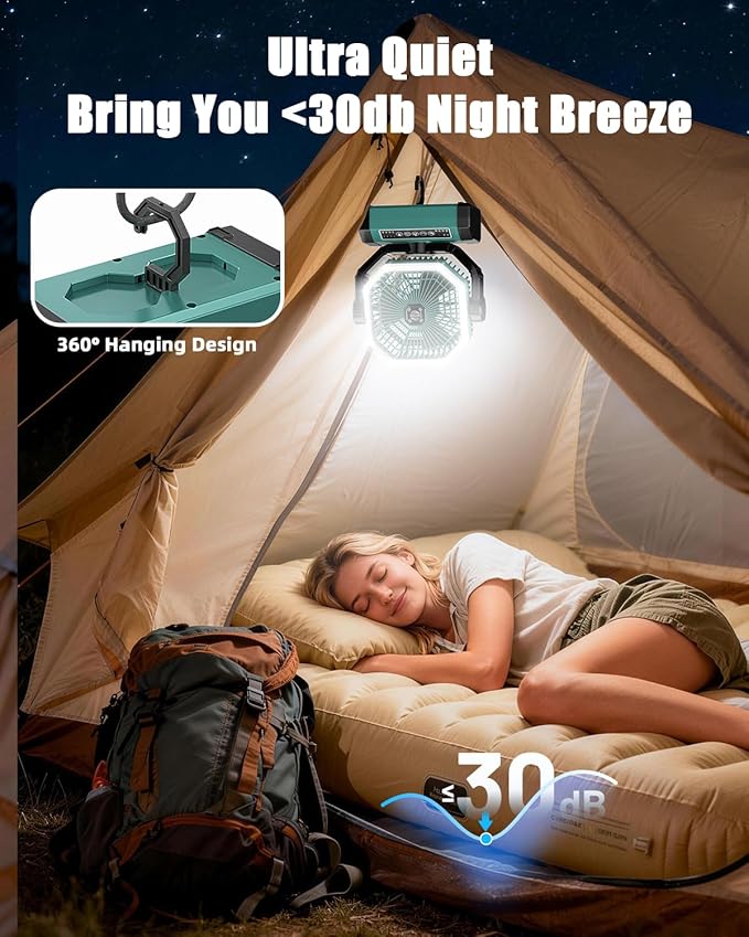 Portable Rechargeable Fan - 9-Inch Camping Fan for Tent, 24000mAh(60Hrs) Battery Operated Fan for Camping, Auto Oscillation Cordless Fans, Tent Fan with Remote/Light, 4 Speeds, 4 Timing, Outdoor