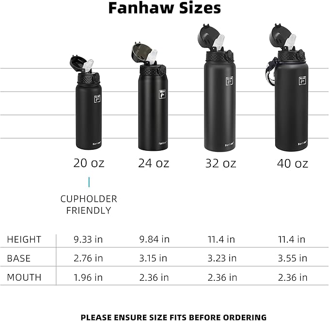 Fanhaw 20 oz Insulated Stainless Steel Water Bottle with Straw Lid, Leakproof & Anti-Dust Sports Bottle for Kids, Women & Men (Gray)