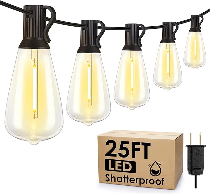 Larkvue 25FT Outdoor String Lights, Patio Lights with 10+1 LED Dimmable Waterproof Shatterproof ST38 Retro Edison 2700K Bulbs for Balcony Yard, Black