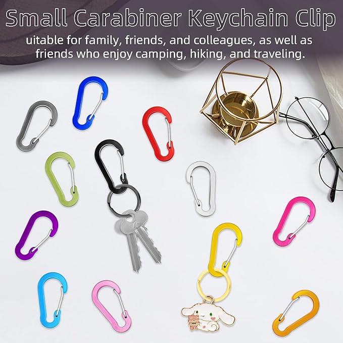 10pcs Aluminum Small Carabiner Clip, 2 Inch Carabiner Keychain Clasp Spring D Ring for Hanging Home KeyRings Hook Paracord Lanyard Keychain Pet Collar Hiking Camping Fishing Accessories (Black)