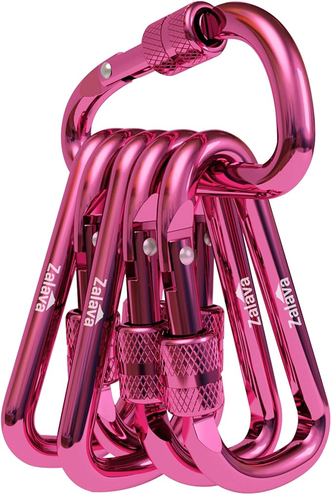 6PCS Carabiner Keychain, 2 inch Aluminum D-Clip Caribeener with Hook