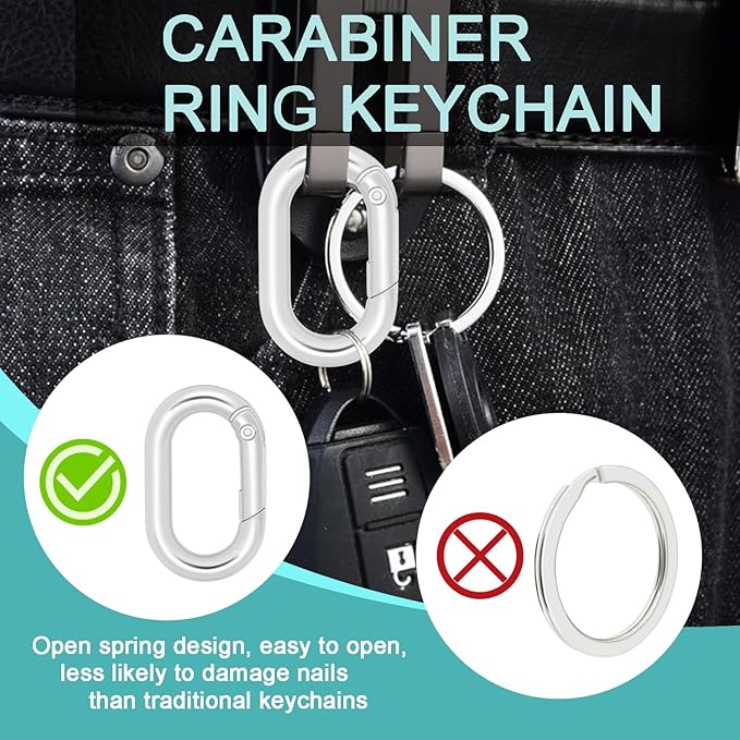 10Pack 1 Inch Small Oval Carabiner, Metal Spring Tiny Carabiner Clips for Paracord Keychain Lanyard, Car Key Rings, Dog Tag Clip, Pets Collar Buckles, Purse Keychain Replacement (Silver)
