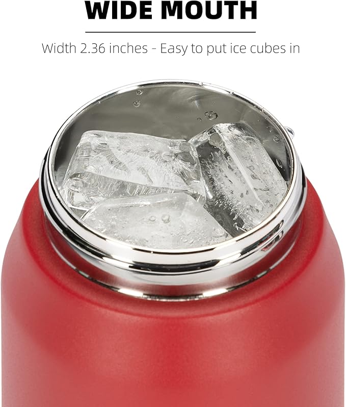 Fanhaw 24 oz Insulated Stainless Steel Water Bottle with Straw Lid, Leakproof & Anti-Dust Sports Bottle for Kids, Women & Men (Red)