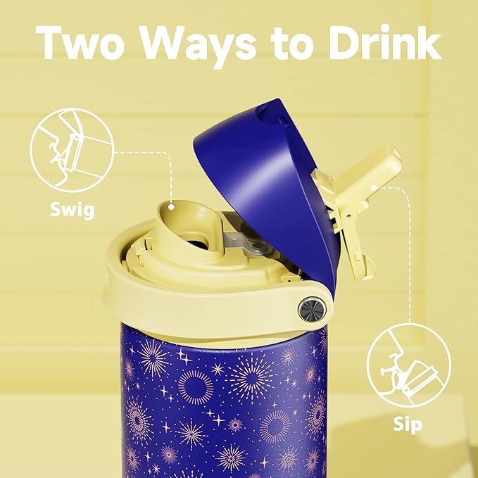 24 oz Insulated Water Bottle for Men: Meoky Stainless Steel Water Bottle with 2-in-1 Straw and Spout Lid - Leak Proof, Cold for 24 Hours, Fits in Car Cup Holder, BPA-Free for Sports Travel, Destiny