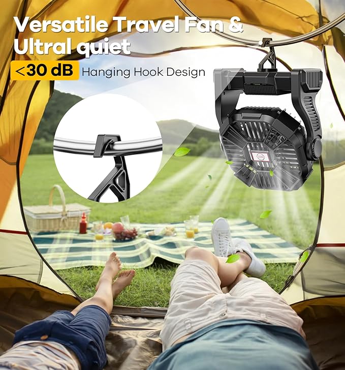 DOWILLDO 30000mAh Portable Battery Powered Camping Fan - with LED Light, Quiet Battery Operated, Camping Gear for Travel, Tent, Beach, Car or Hurricane Power Outages, Black