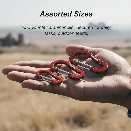 12Pcs Carabiner Clips Assorted Sizes Pack, Includes Small Medium Large 2/2.4/2.8 Inch Aluminum Carabiner Multicolor D Shape Keychain Clip for Backpack