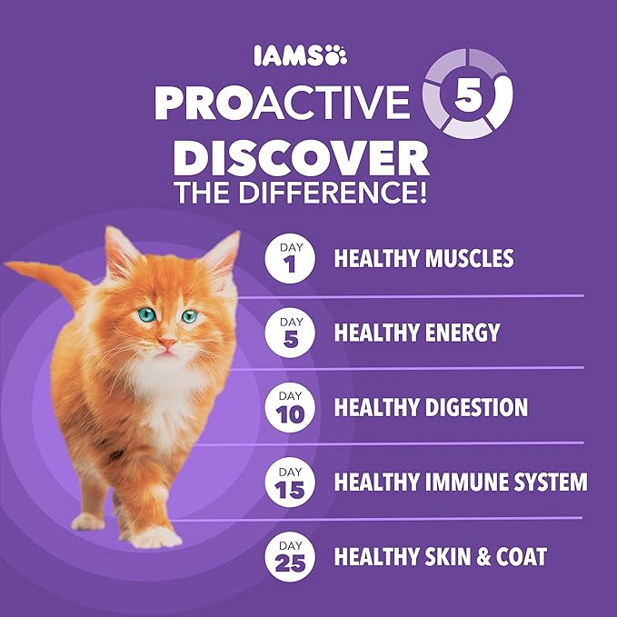 IAMS Proactive Health Kitten Dry Cat Food, Healthy Kitten Food Dry Recipe with Real Chicken in Every Bite, 7 lb. Bag