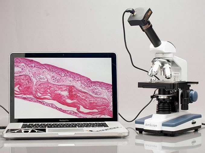 AmScope M620A Compound Monocular Microscope, WF10x and WF16x Eyepieces, 40x-1600x Magnification, Brightfield, LED Illumination, Abbe Condenser, Mechanical Stage, 110V