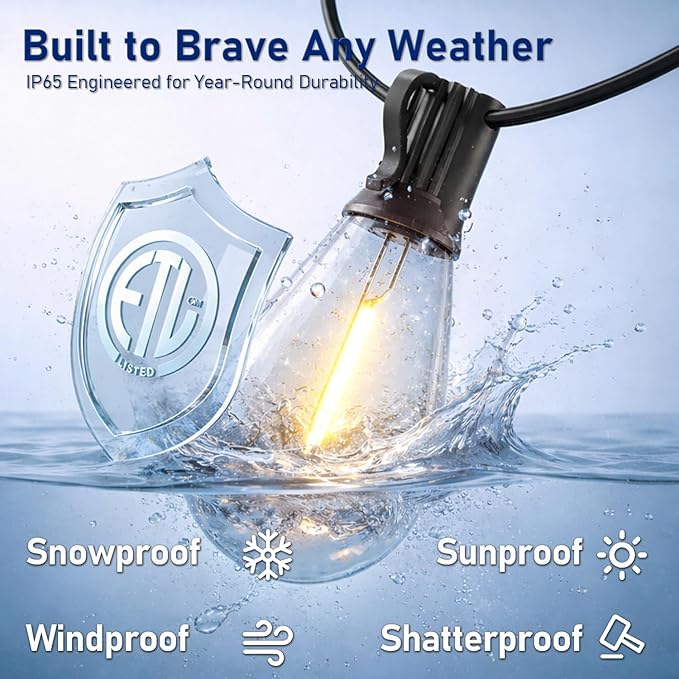 Outdoor String Lights 50FT with 18+1 Shatterproof LED Bulbs, Remote Control Dimmable Patio Lights, Waterproof Hanging Edison Light for Backyard Garden Pergola, Timer & 3 Modes