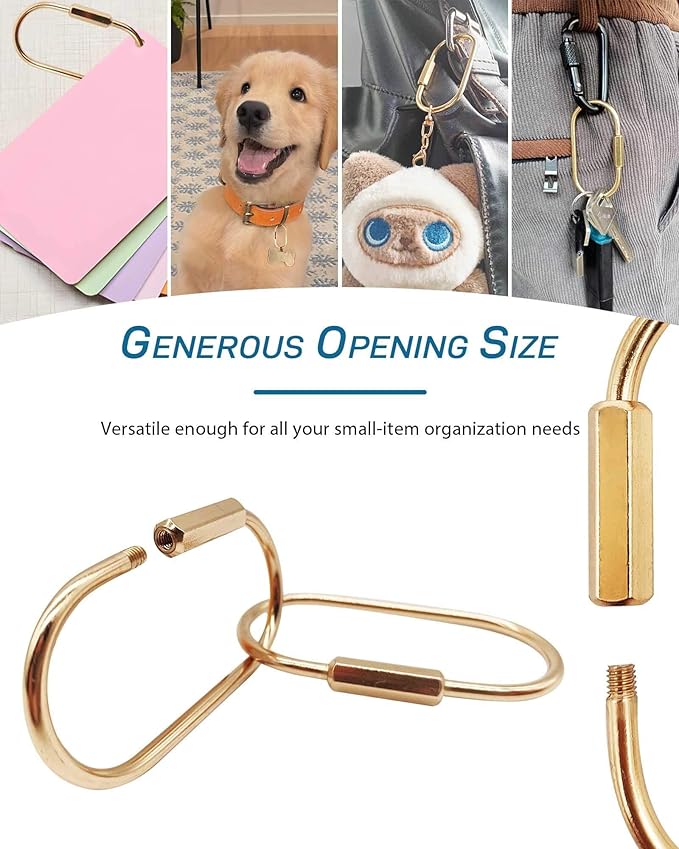 Brass Gold Carabiner Clip for Keys - Loose Leaf Binder Rings, Screw Lock Keychain and Carabiner Clip with Lock for Backpacks, Luggage Tags, Pet Collar Clips and Outdoor Accessories, 6 Packs