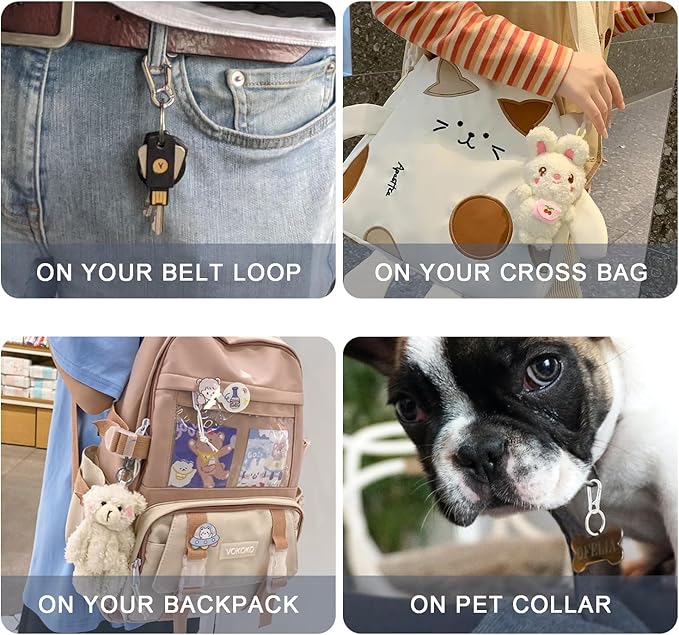 CooBigo 4Pack Small Keychain Rings, Metal Key Carabiner Clip, Mini EDC Key Ring Chain Holder Organizer for Purse Charm Hook, Car Keychain, Paracord Keychain Lanyard, Men and Women Key Fob (Silver)
