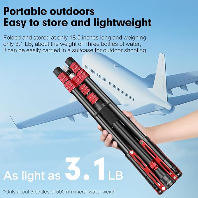 FreeSea Light Stand with Storage Bag, 87.4 inch/2.22m Aluminium Photography Tripod for Reflectors, Softboxes, Flash, Strobe Lights, Umbrellas, Compact Lightweight Light Tripod