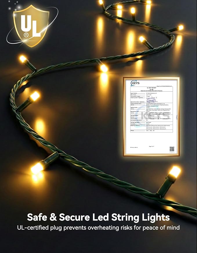 LitHome 99FT 300 LED String Lights Outdoor Indoor, 8 Modes Waterproof Christmas String Lights with Timer & Memory Function, Outdoor Christmas Lights Green Wire for Xmas Tree Party Garden, Warm White