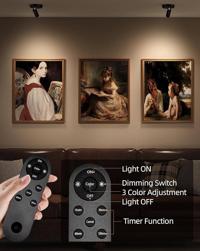 EZVALO Spotlights Indoor with Remote, 5500mAh Rechargeable Picture Lights, Wireless Uplights with Timer & Dimmable, 3-CCT, Display Lights for Plant, Painting, Artwork, Accent Lighting (2-Pack Black)
