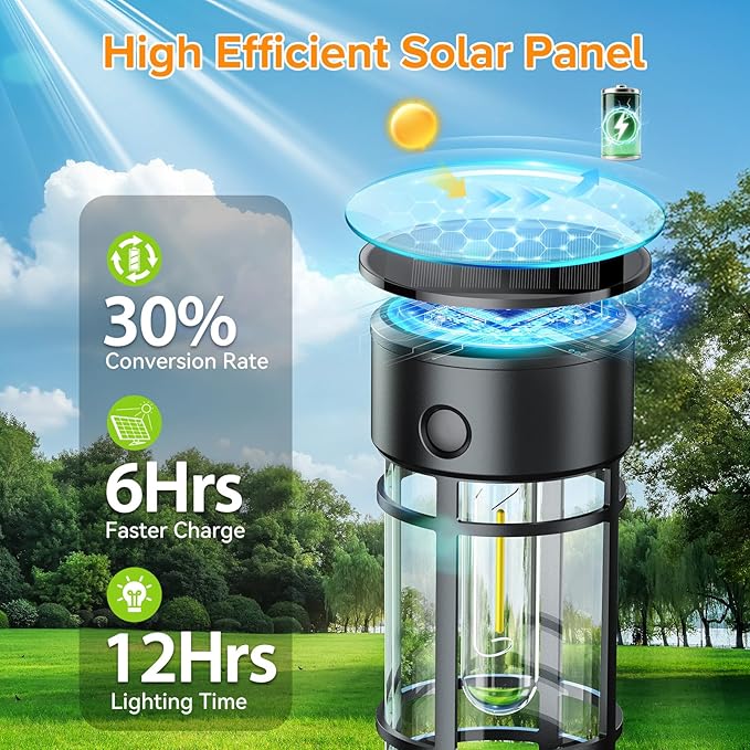 LETMY Solar Pathway Lights Outdoor, 8 Pack Solar Lights Outdoor Waterproof IP65, Bright Solar Garden Lights Outdoor, Auto On/Off Outdoor Solar Lights for Yard Walkway Driveway Landscape Garden Decor