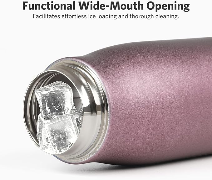 Water Bottle with Portable Lid Metal Vacuum Insulated Stainless Steel | Reusable Leak Proof Flask | 17oz, Pink