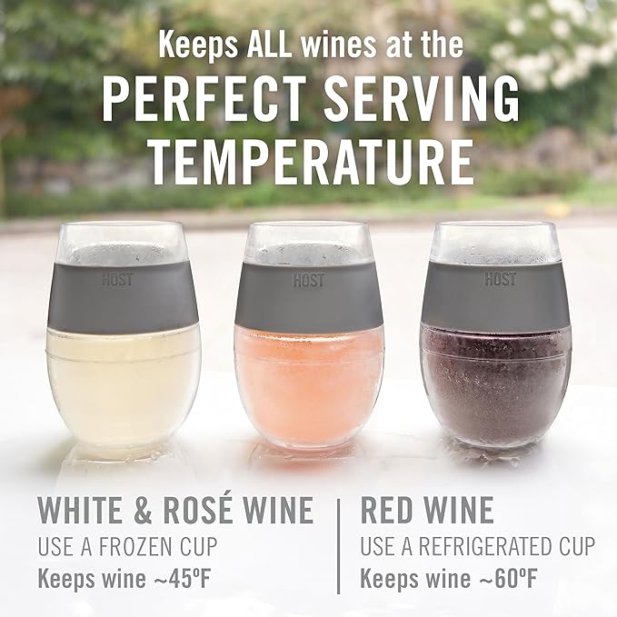 Host Freeze Wine Glasses with Lids, Wine Tumbler Gifts for Mom, Travel Gifts for Women, Insulated Cooling Cups for Red and White Wines, Freezable Tumblers for Outdoor Party, 8.5 oz, Set of 2, Gray