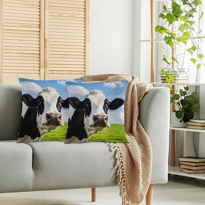 Swono Cow Bed Pillow Covers, Funny Farm Cattle Cow On Grass Meadow Decorative Throw Pillow Cover Cushion Case for Sofa Bed Living Room Farmhouse Decorations, 18"X18" 2 Pieces Pillowcases
