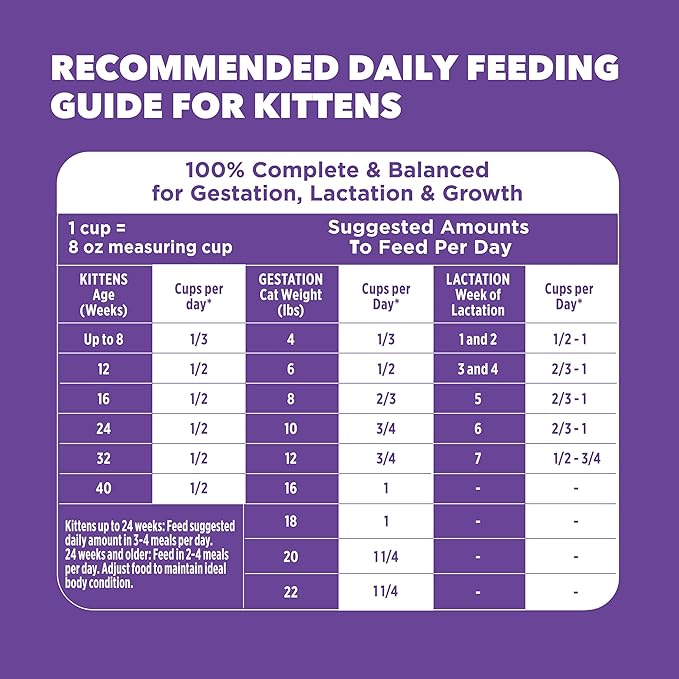 IAMS Proactive Health Kitten Dry Cat Food, Healthy Kitten Food Dry Recipe with Real Chicken in Every Bite, 7 lb. Bag