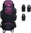 Teton 65L Explorer Internal Frame Backpack for Hiking, Camping, Backpacking, Rain Cover Included, Huckleberry