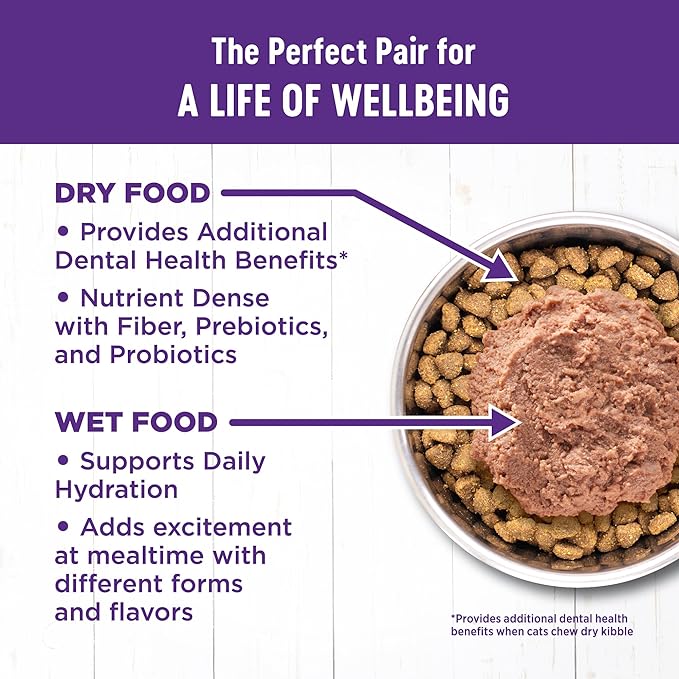 Wellness Complete Health Senior Dry Cat Food, Natural, Grain Free Kibble, Chicken Recipe, 5.5 lb Bag