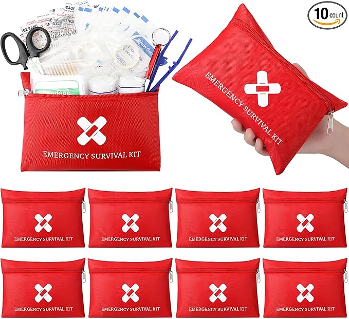 Geiserailie 10 Pack Mini First Aid Kit for Home Car Travel Camp Outdoor Graduation Sports Hiking Emergency Small First Aid Kit Travel Size Bulk Self Care Package, 10 Individual Bags of 91 Items Each
