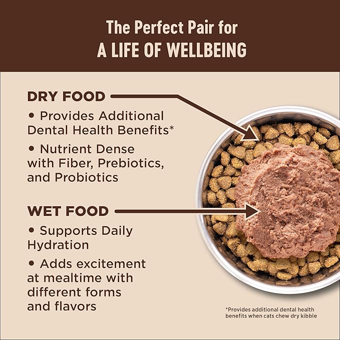 Wellness CORE+ Adult Dry Cat Food for Indoor Cats, Natural, Grain Free Kibble, Chicken and Turkey Recipe, 11 lb Bag