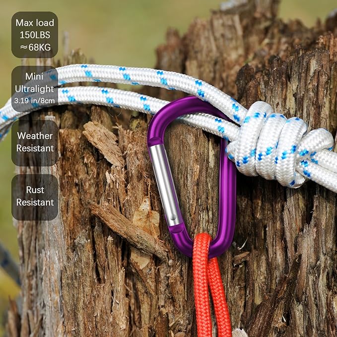 sprookber 3" Aluminum Carabiner D Ring, Caribeener Clips, Spring Snap Hook for Keychain Clip, Set of 10