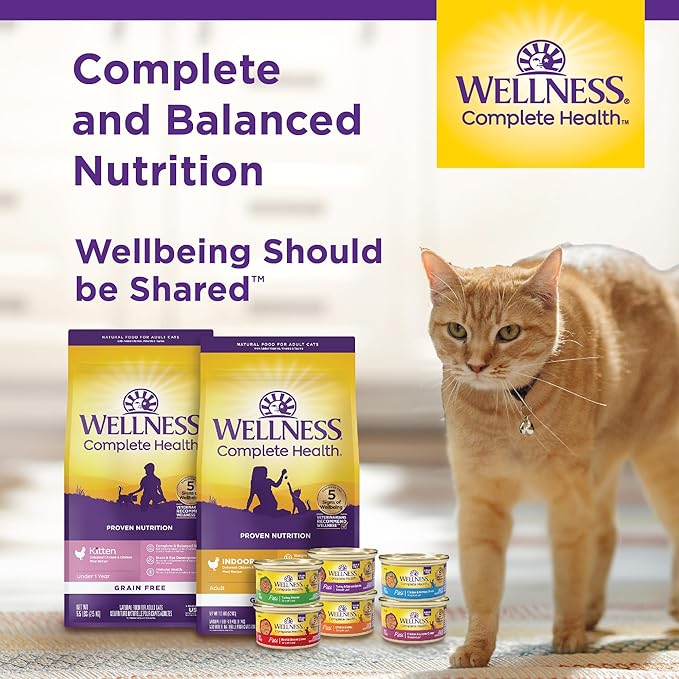 Wellness Complete Health Healthy Weight Adult Dry Cat Food for Indoor Cats, Natural, Grain Free Kibble, Chicken & Turkey Recipe, 5.5 lb Bag