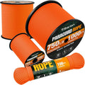 Paracord Rope 750 lb - 100ft 5/32" Parachute Cord 4MM 12-Strand para Cord - Heavy Duty Spool String for Survival,Camping Gear, Survival Bracelet, Clothesline - Orange