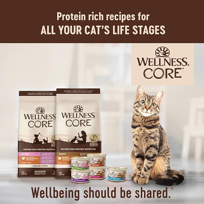 Wellness CORE Adult Dry Cat Food, Natural, Grain Free Kibble, Turkey and Duck Recipe, 11 lb Bag