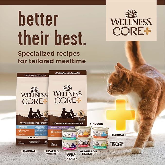 Wellness CORE+ Adult Dry Cat Food for Indoor Cats, Natural, Grain Free Kibble, Chicken and Turkey Recipe, 11 lb Bag