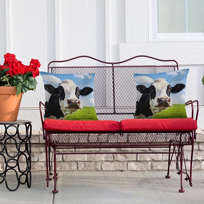 Swono Cow Bed Pillow Covers, Funny Farm Cattle Cow On Grass Meadow Decorative Throw Pillow Cover Cushion Case for Sofa Bed Living Room Farmhouse Decorations, 18"X18" 2 Pieces Pillowcases