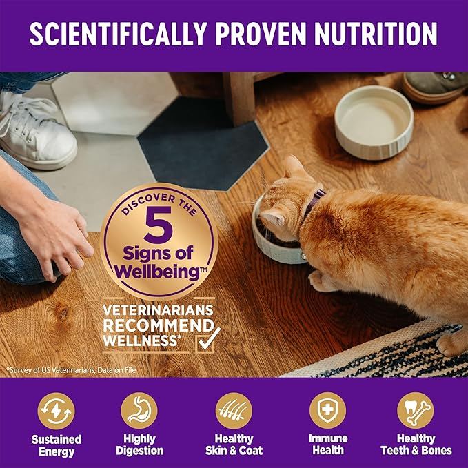 Wellness Complete Health Adult Dry Cat Food for Indoor Cats, Natural, Grain Free Kibble, Salmon and Herring Meal Recipe, 11.5 lb Bag