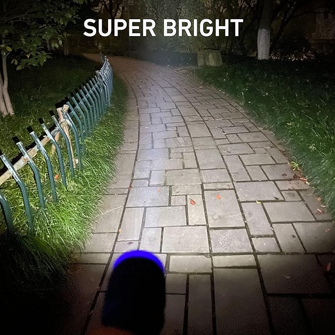 24-Pack Small Flashlights Set, Super Bright 100 Lumen LED Flashlight Pack with 72-Piece AAA Batteries Included, Mini Flashlight, Outdoor Flashlight for Camping, Hiking, Emergency